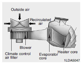 Filtro de aire de control climático (si está equipado)